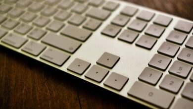 decoding digital entities explained
