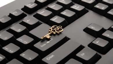 digital mystery unfolds online