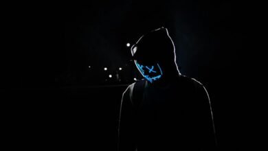mysterious digital entity revealed