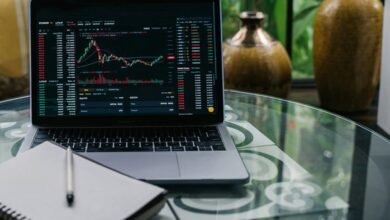 beginner friendly stock investments