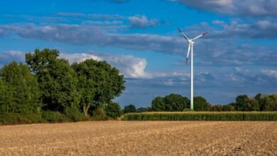 renewable energy stock outlook
