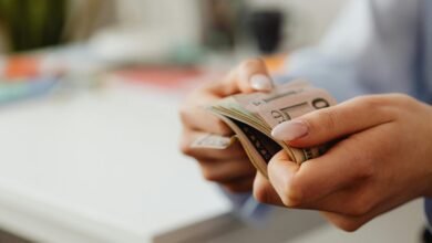 steady income investment options