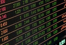 sector opportunities contact numbers