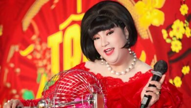 background check summary request