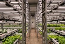 creative growth strategies unlocked