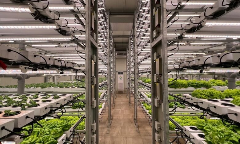 creative growth strategies unlocked