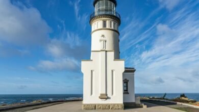 digital market growth strategy