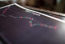 ip activity report summary