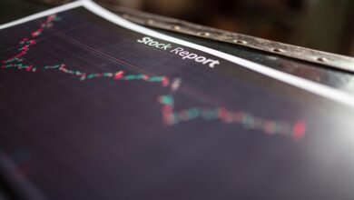 ip activity report summary