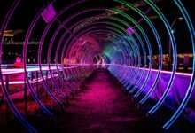 luminous arc network details