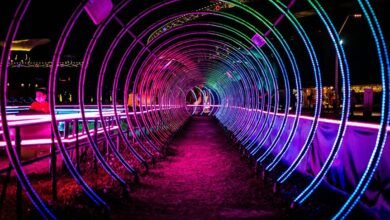 luminous arc network details