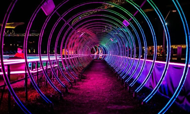 luminous arc network details