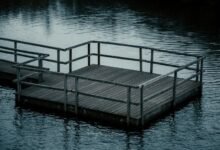 managed outreach voice dock