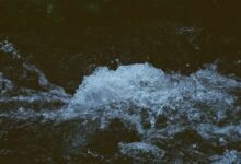 momentum edge conversion stream