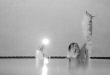 momentum edge performance analysis